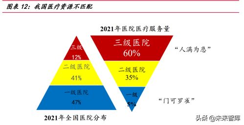 醫(yī)療信息化專題報(bào)告 需求端、供給端與國際比較分析——聚焦保健信息處理與技術(shù)發(fā)展